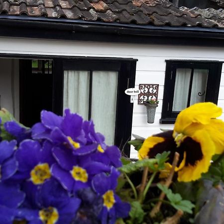 Bed and Breakfast Rose Farm à Honiton Extérieur photo