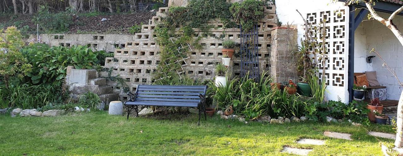 Bed and Breakfast Rose Farm à Honiton Extérieur photo