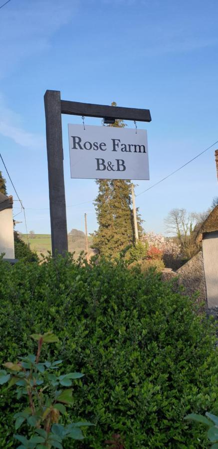 Bed and Breakfast Rose Farm à Honiton Extérieur photo